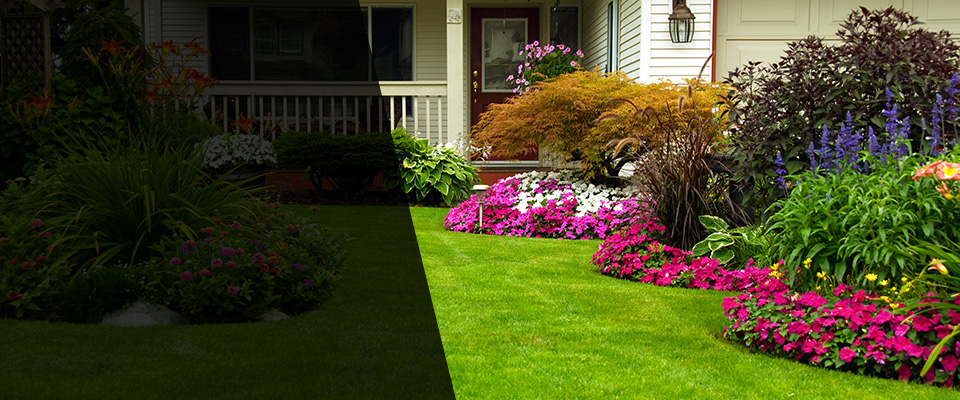 Carlisle Landscapers
